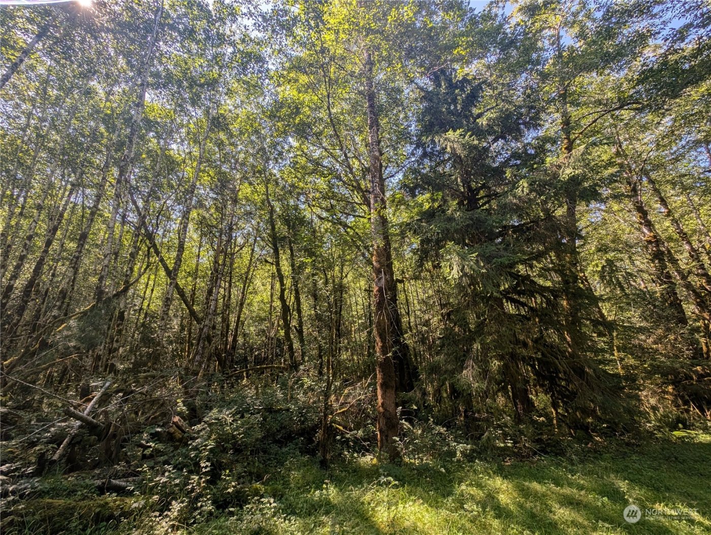 99993 Dowans Creek Road , Forks, WA 98331