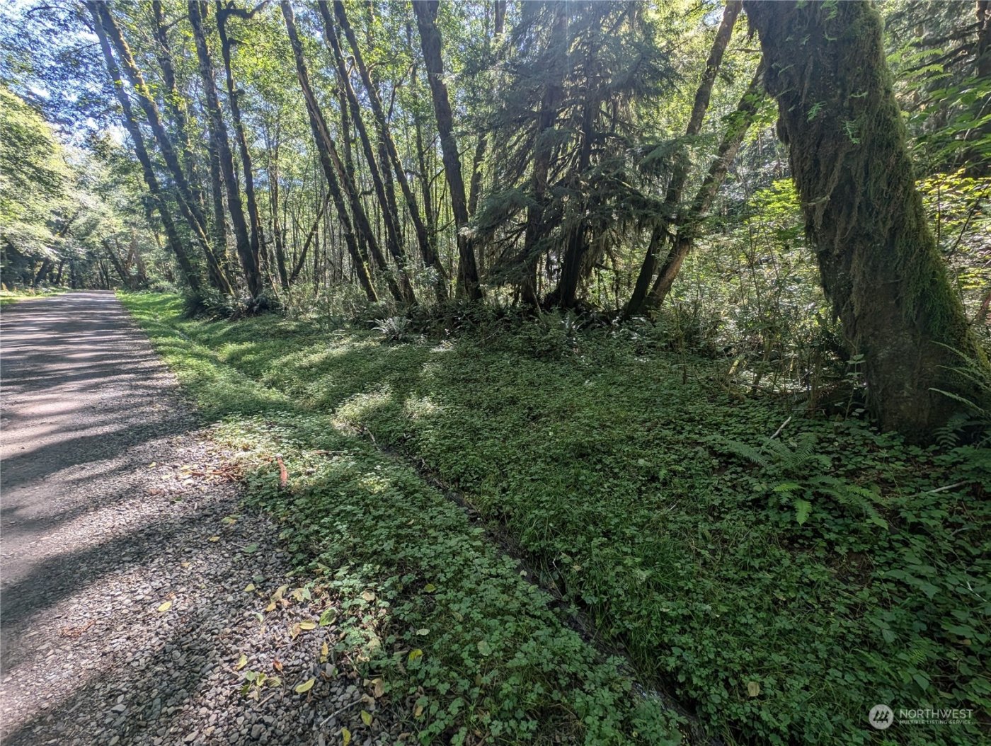 99993 Dowans Creek Road , Forks, WA 98331