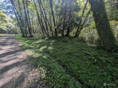 99993 Dowans Creek Road , Forks, WA 98331 - Photo 9