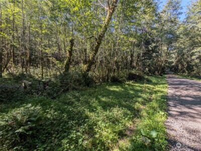 99993 Dowans Creek Road , Forks, WA 98331 - Photo 10