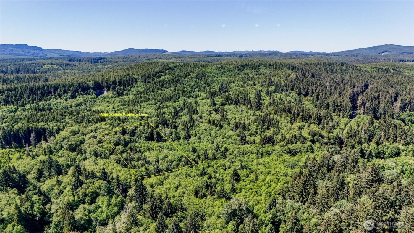 99994 Dowans Creek Road , Forks, WA 98331