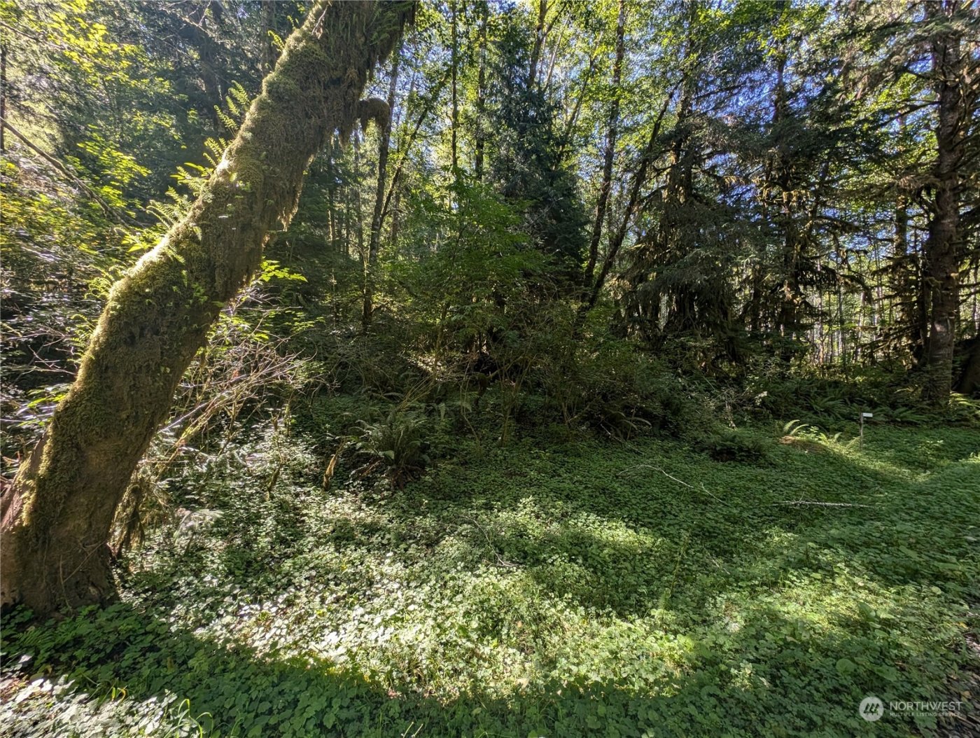 99994 Dowans Creek Road , Forks, WA 98331