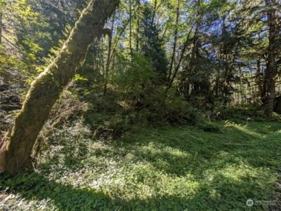 99994 Dowans Creek Road , Forks, WA 98331 - Photo 11