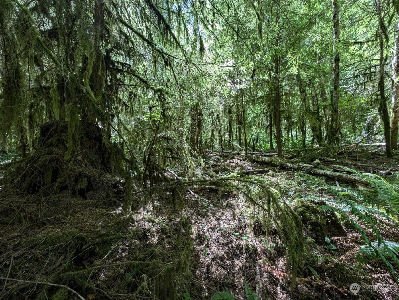 99994 Dowans Creek Road , Forks, WA 98331