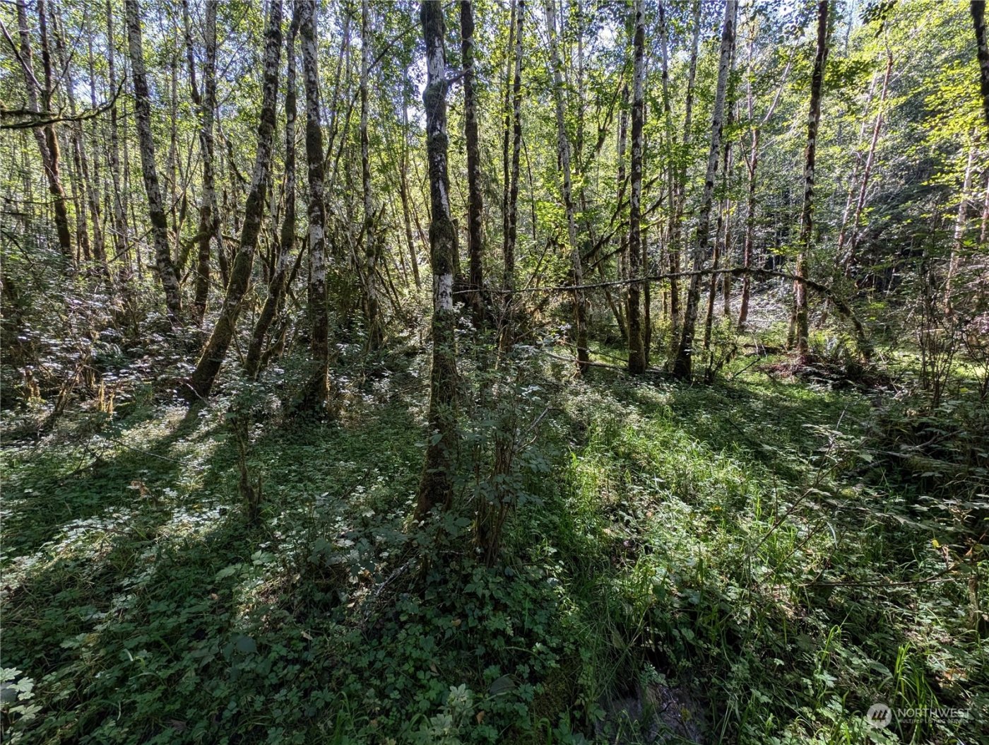 99994 Dowans Creek Road , Forks, WA 98331