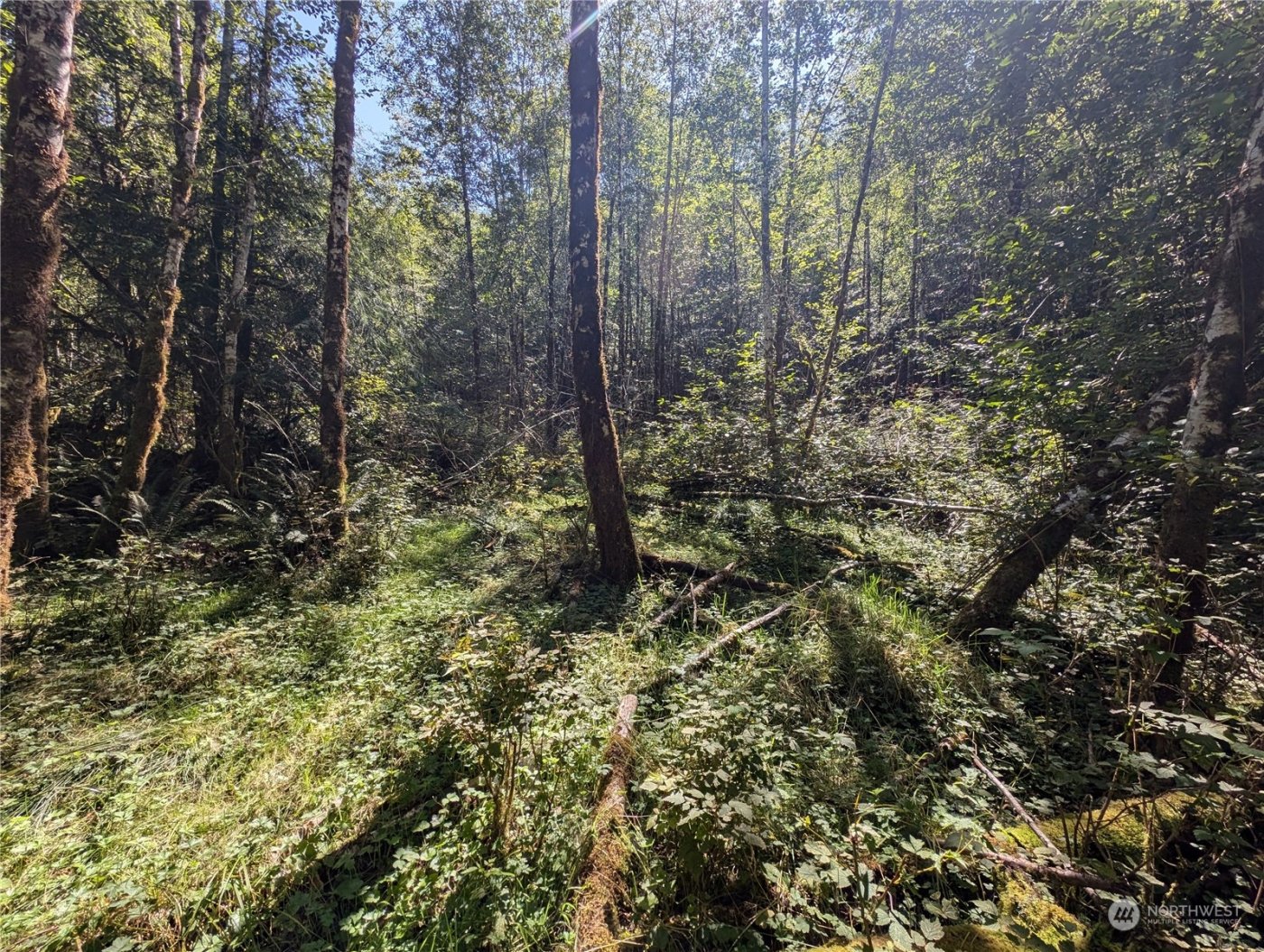 99994 Dowans Creek Road , Forks, WA 98331