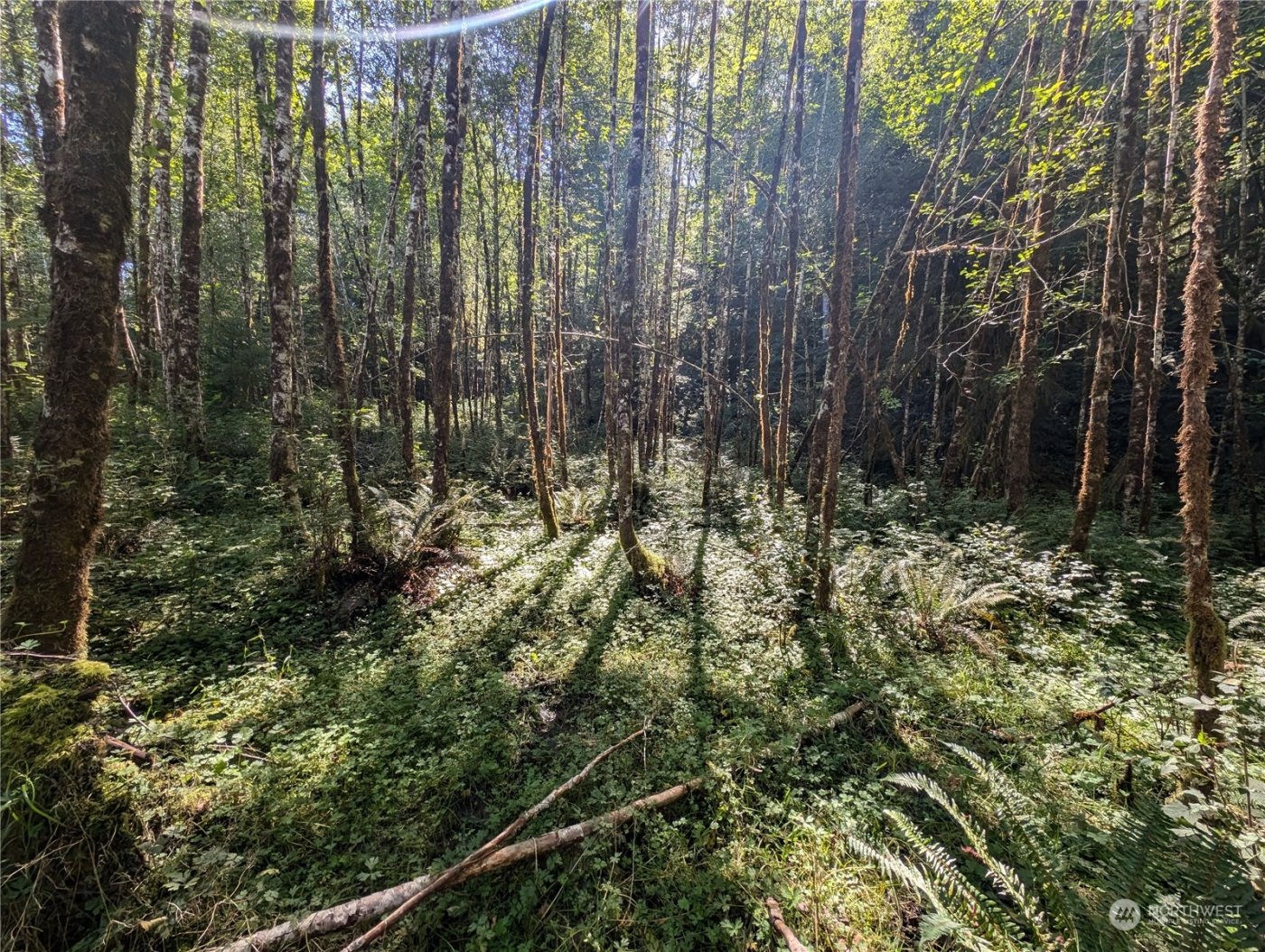 99994 Dowans Creek Road , Forks, WA 98331