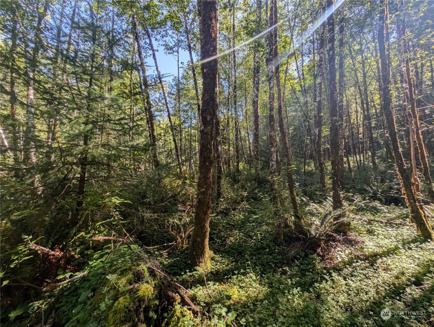 99994 Dowans Creek Road , Forks, WA 98331