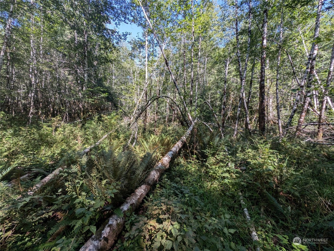 99994 Dowans Creek Road , Forks, WA 98331