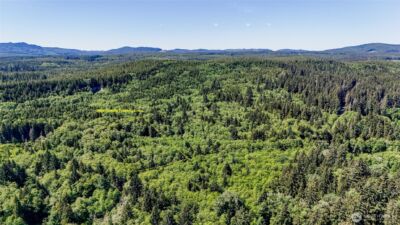 99994 Dowans Creek Road , Forks, WA 98331 - Photo 2