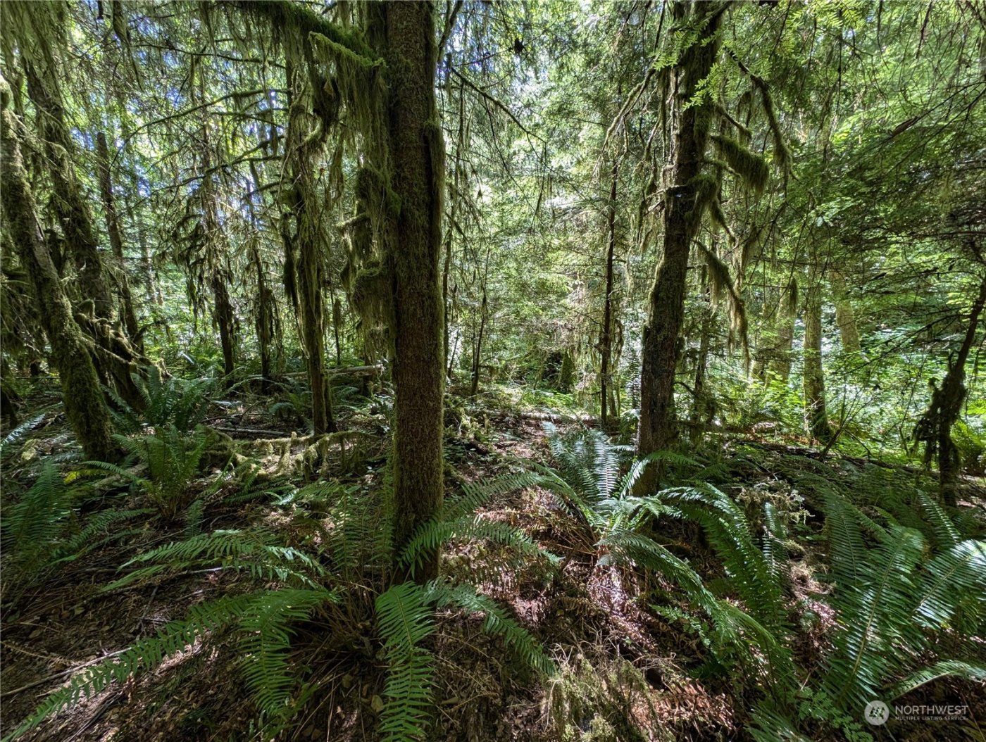 99994 Dowans Creek Road , Forks, WA 98331