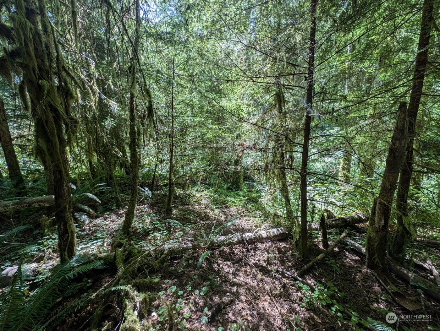 99994 Dowans Creek Road , Forks, WA 98331