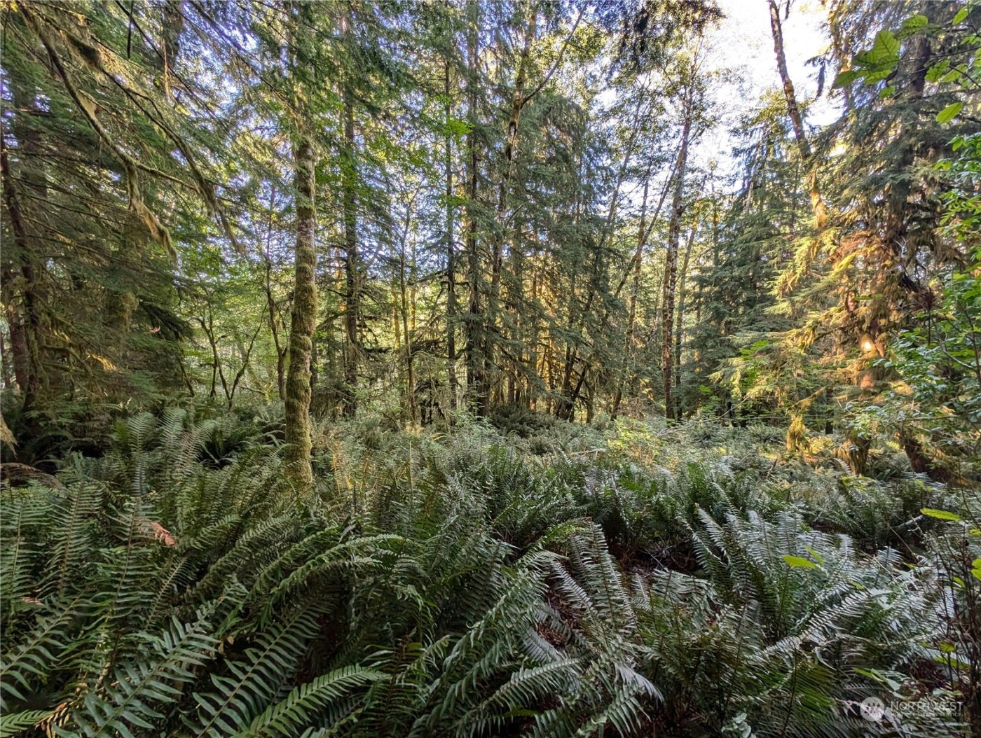 99994 Dowans Creek Road , Forks, WA 98331