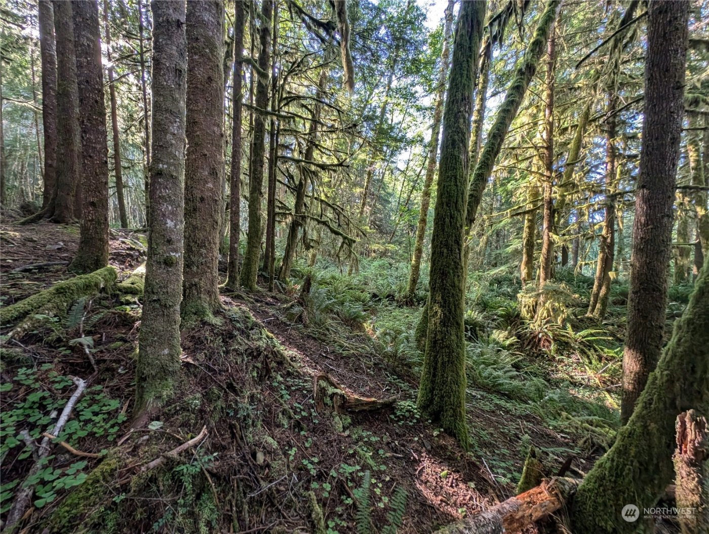 99994 Dowans Creek Road , Forks, WA 98331