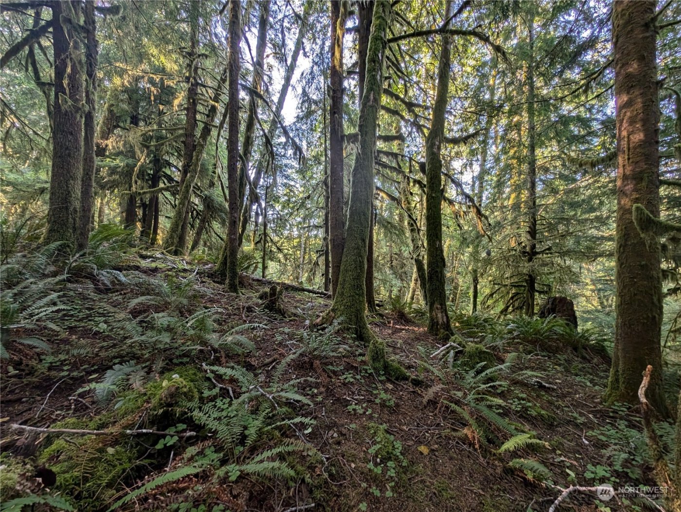 99994 Dowans Creek Road , Forks, WA 98331