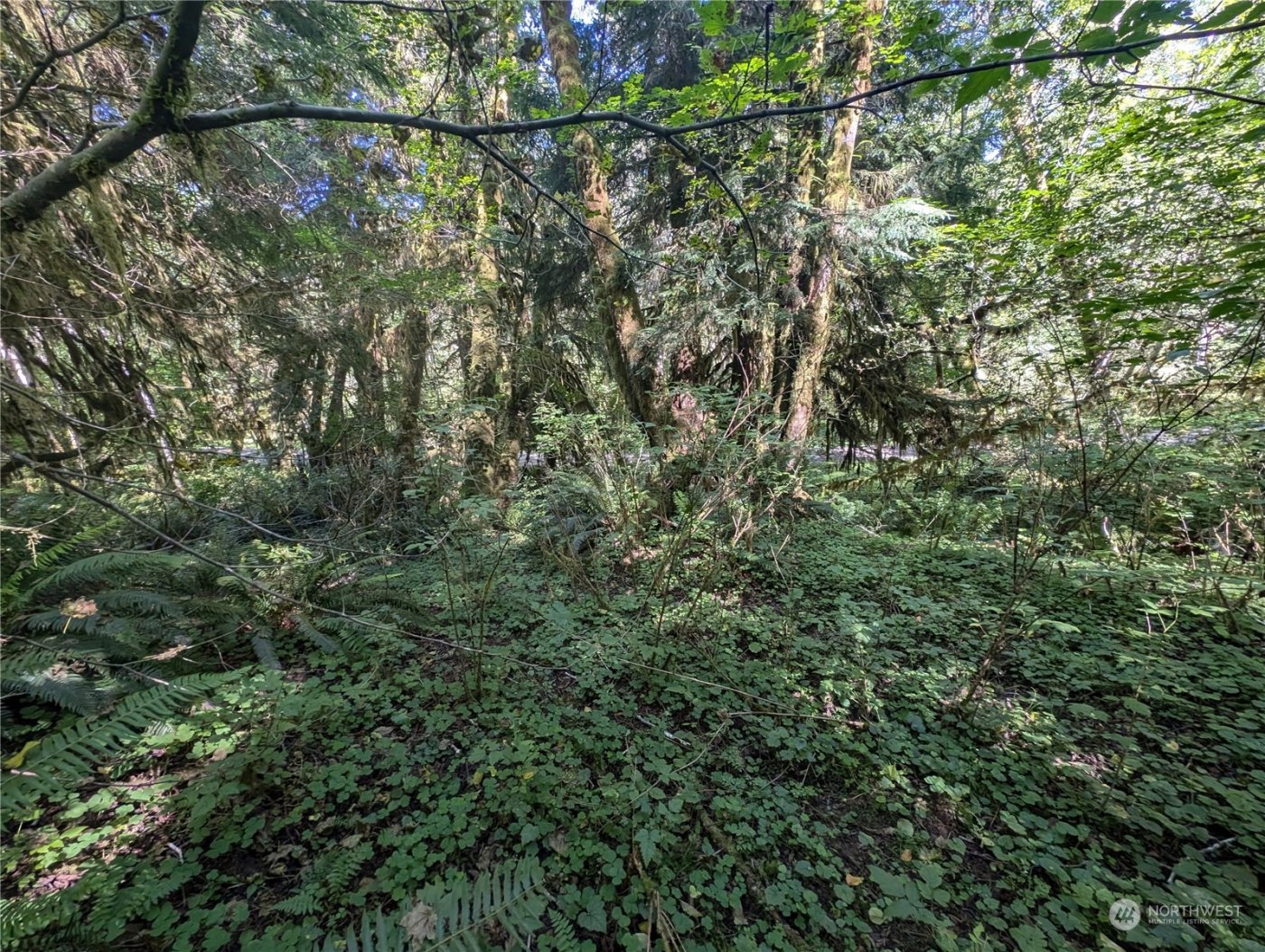 99994 Dowans Creek Road , Forks, WA 98331