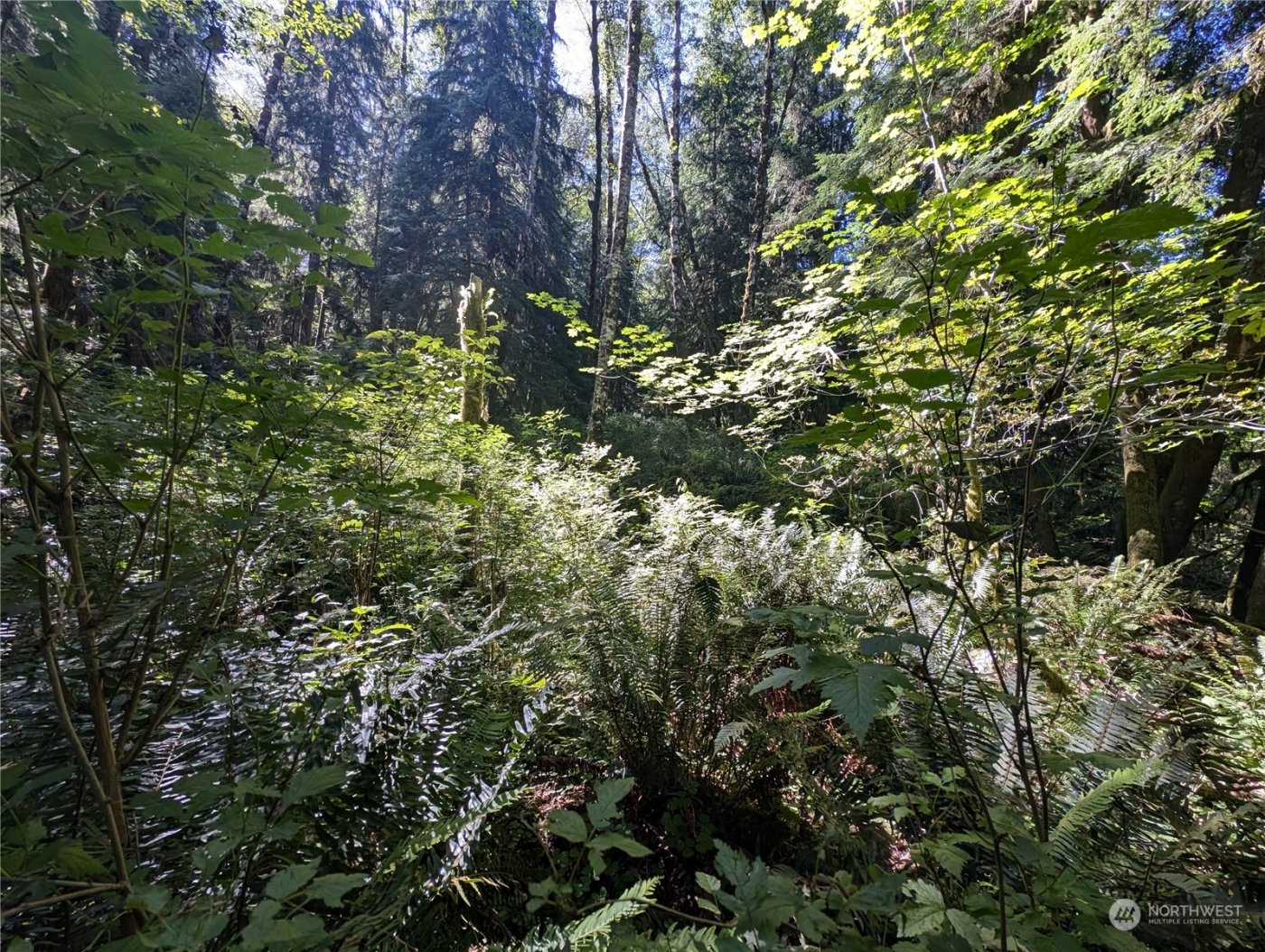 99994 Dowans Creek Road , Forks, WA 98331