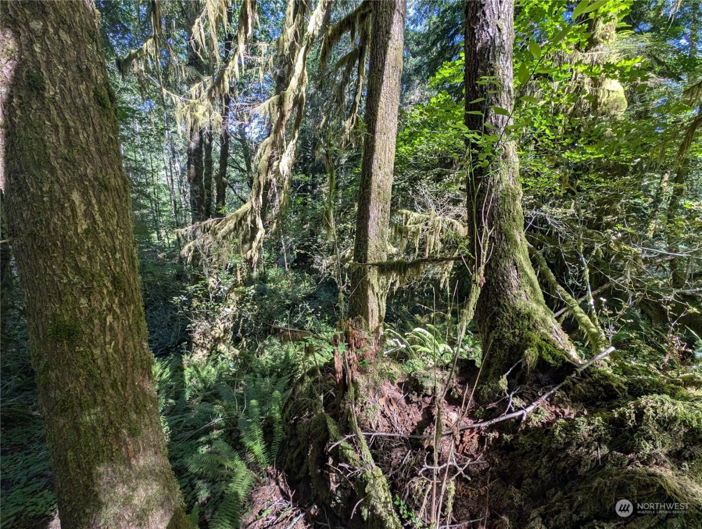 99994 Dowans Creek Road , Forks, WA 98331