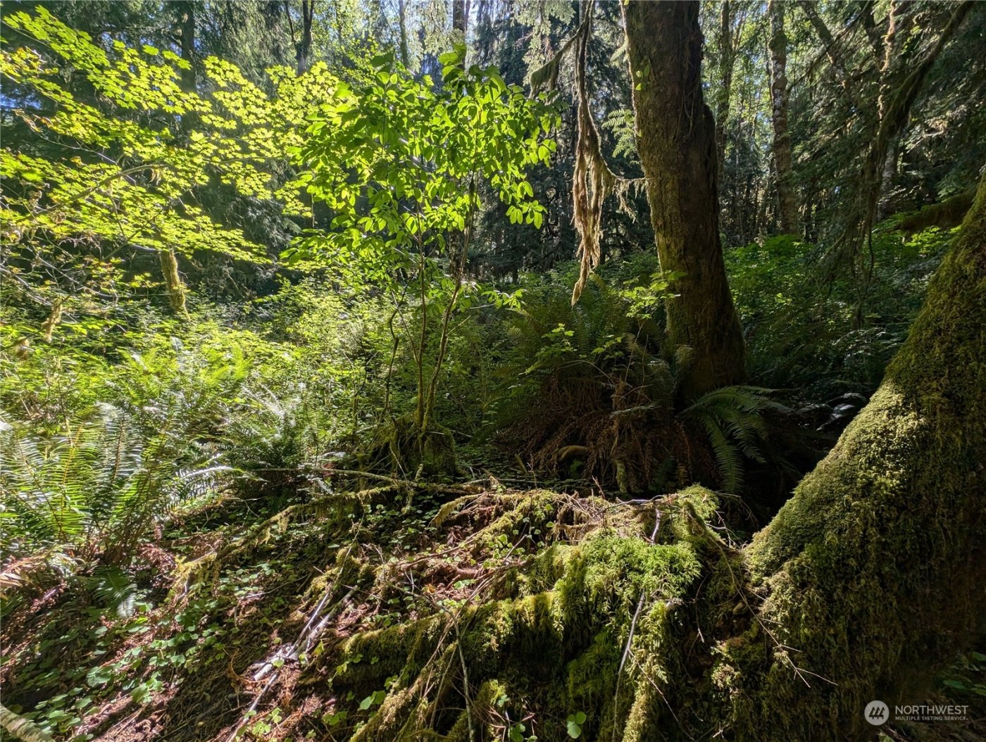 99994 Dowans Creek Road , Forks, WA 98331