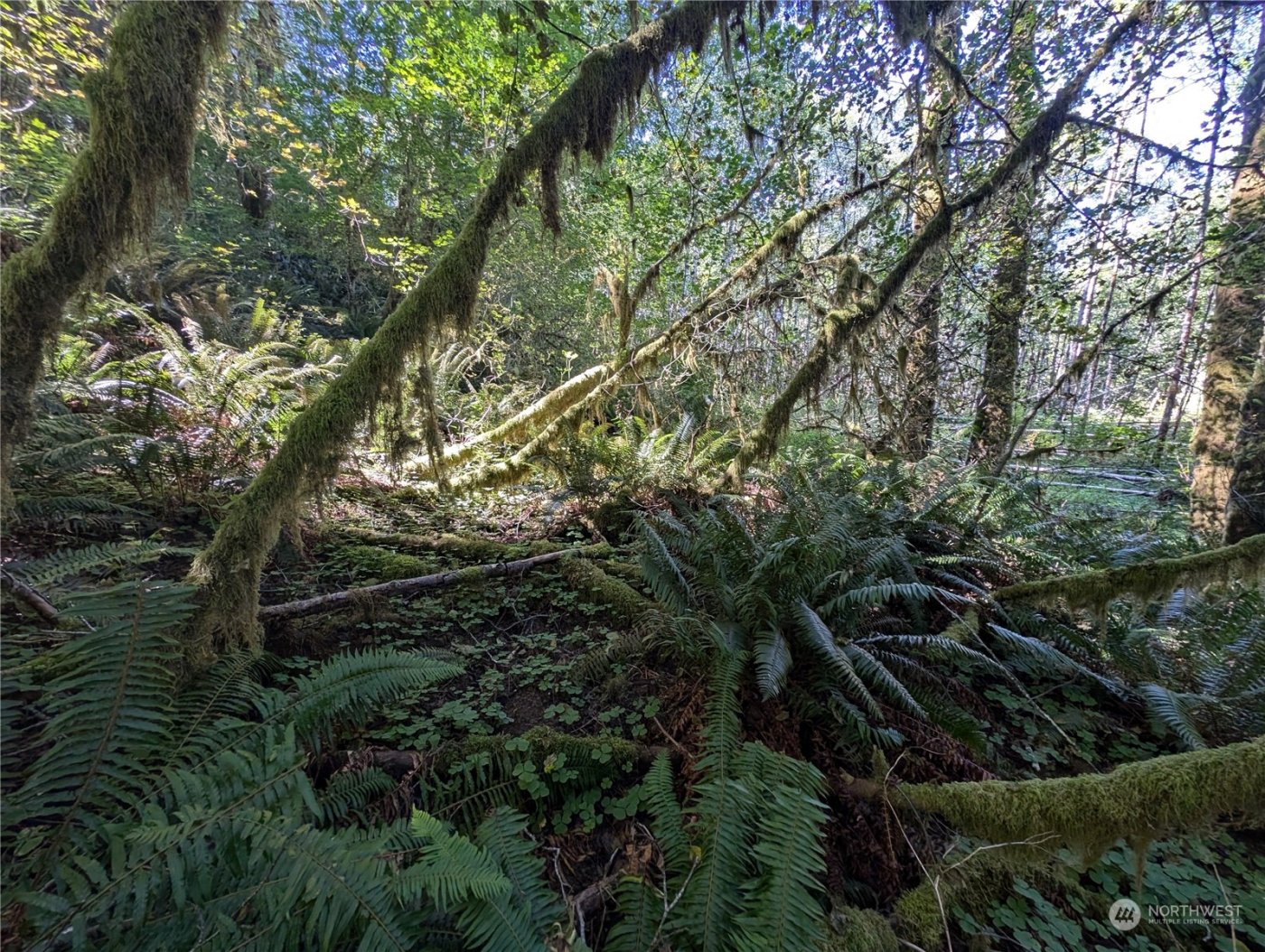 99994 Dowans Creek Road , Forks, WA 98331