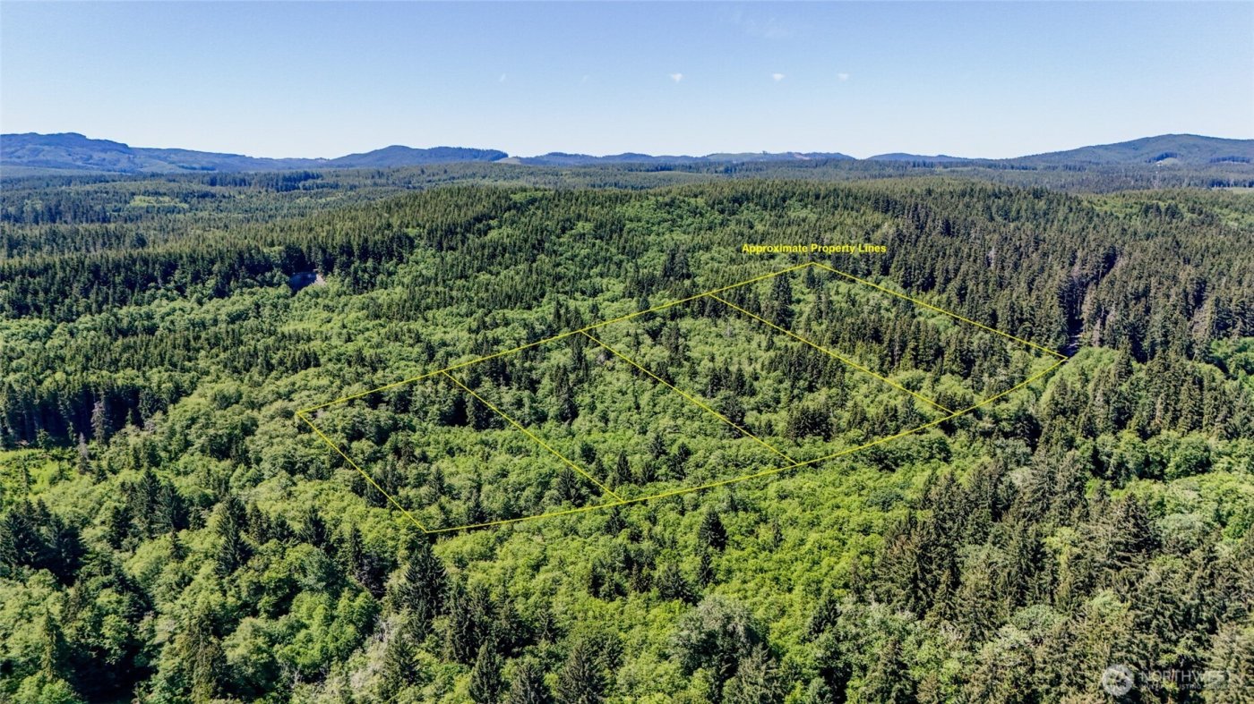 99994 Dowans Creek Road , Forks, WA 98331