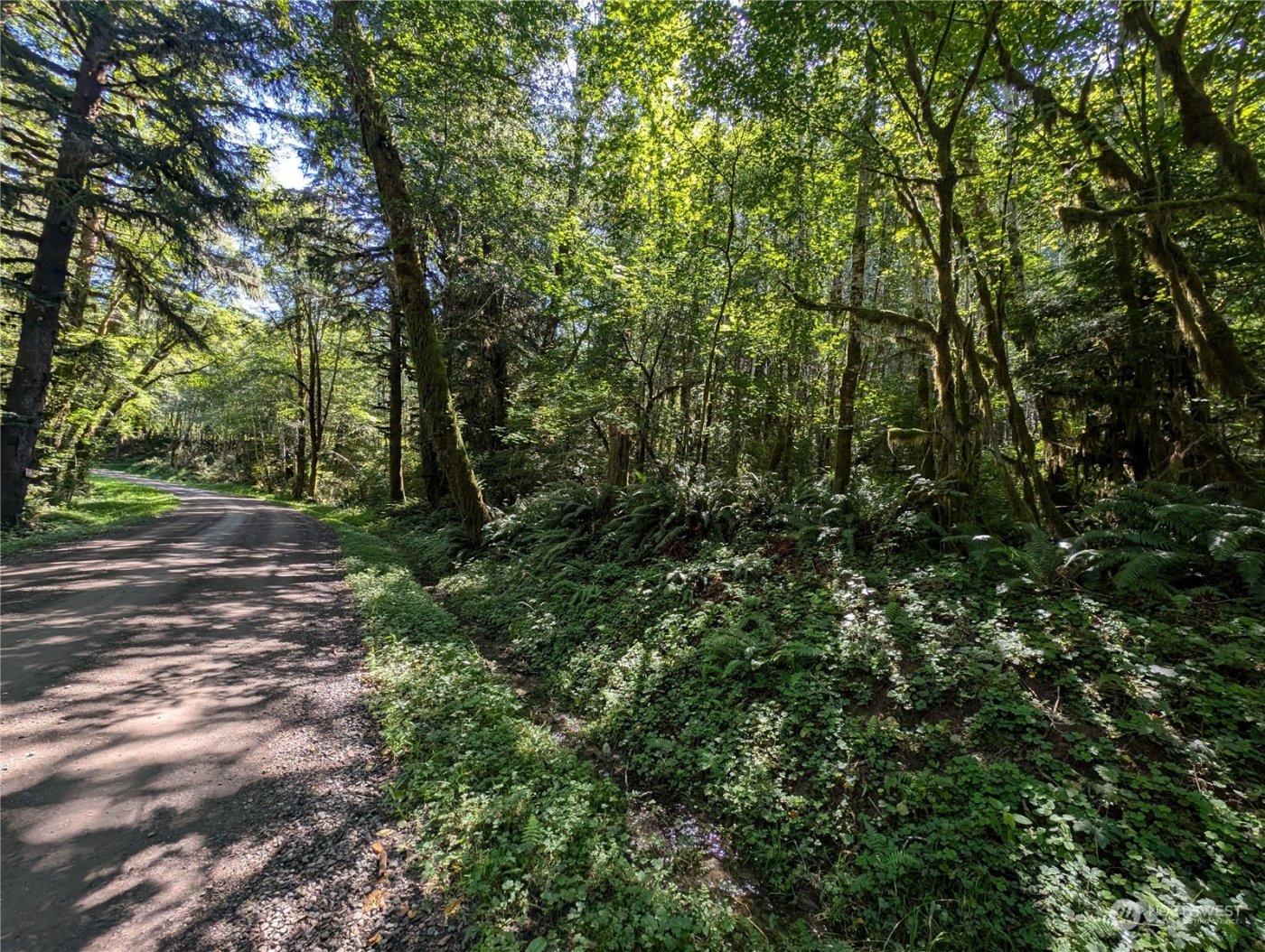 99994 Dowans Creek Road , Forks, WA 98331