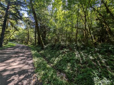 99994 Dowans Creek Road , Forks, WA 98331 - Photo 7