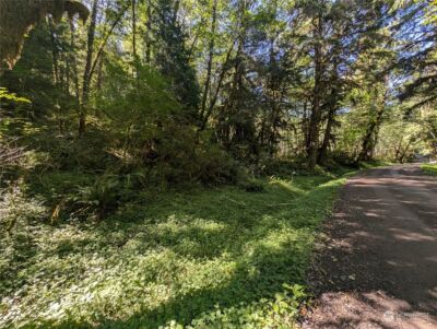 99994 Dowans Creek Road , Forks, WA 98331 - Photo 8
