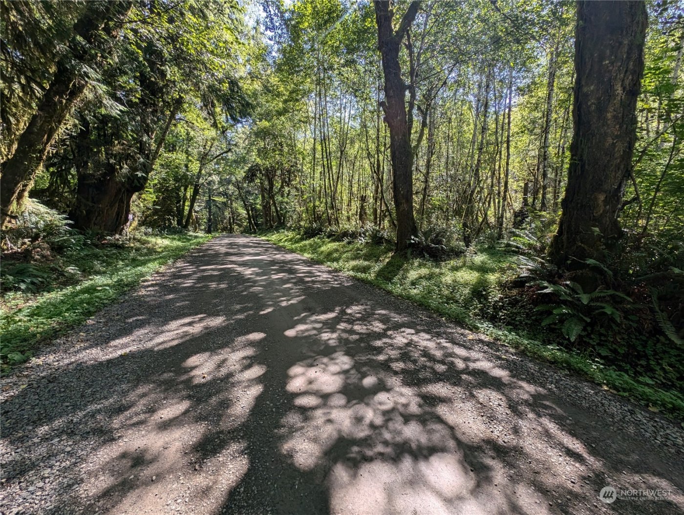 99994 Dowans Creek Road , Forks, WA 98331