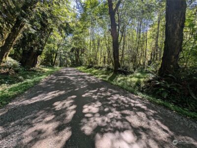 99994 Dowans Creek Road , Forks, WA 98331 - Photo 9