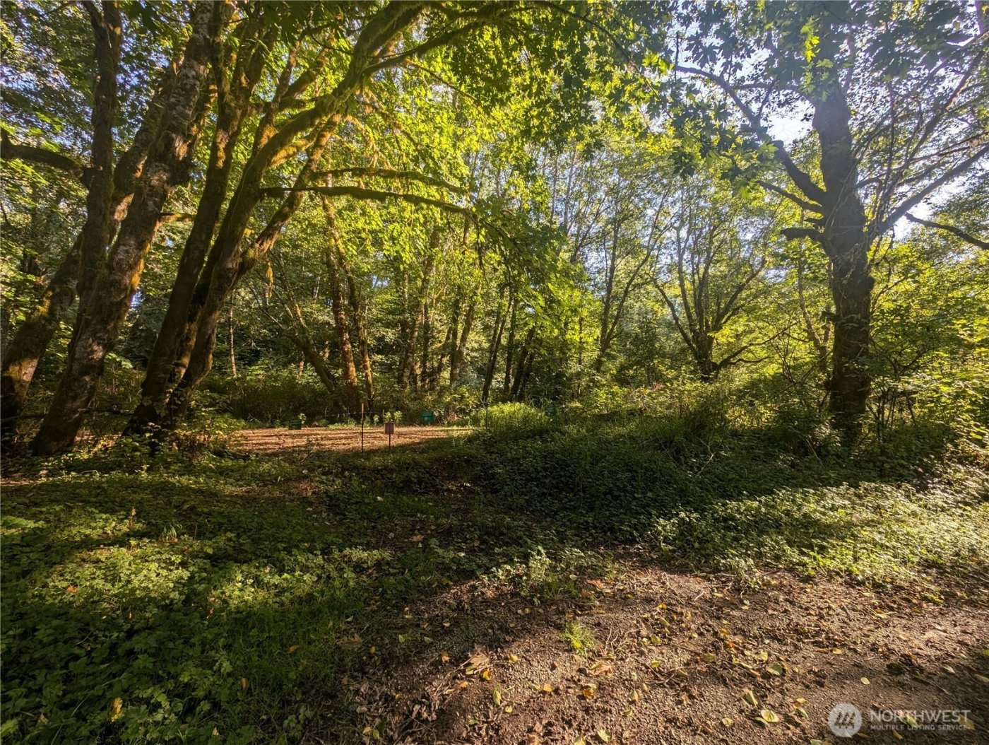 999 Whitcomb-Dimmel Road , Forks, WA 98331