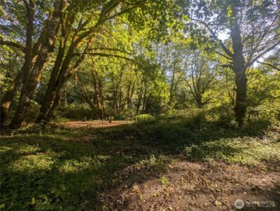 999 Whitcomb-Dimmel Road , Forks, WA 98331