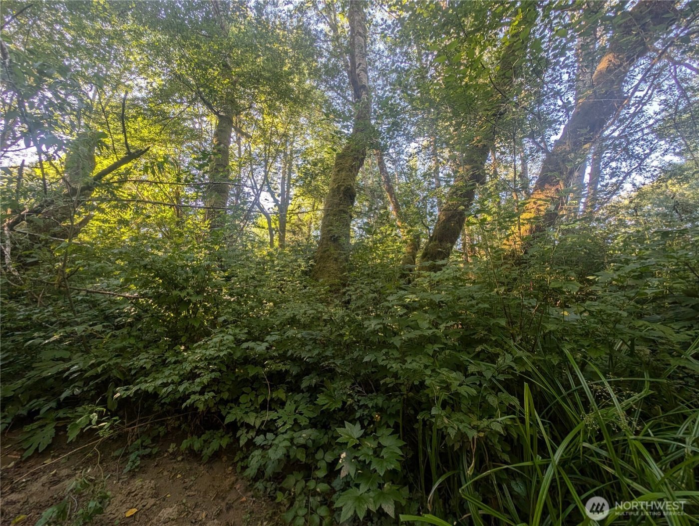 999 Whitcomb-Dimmel Road , Forks, WA 98331