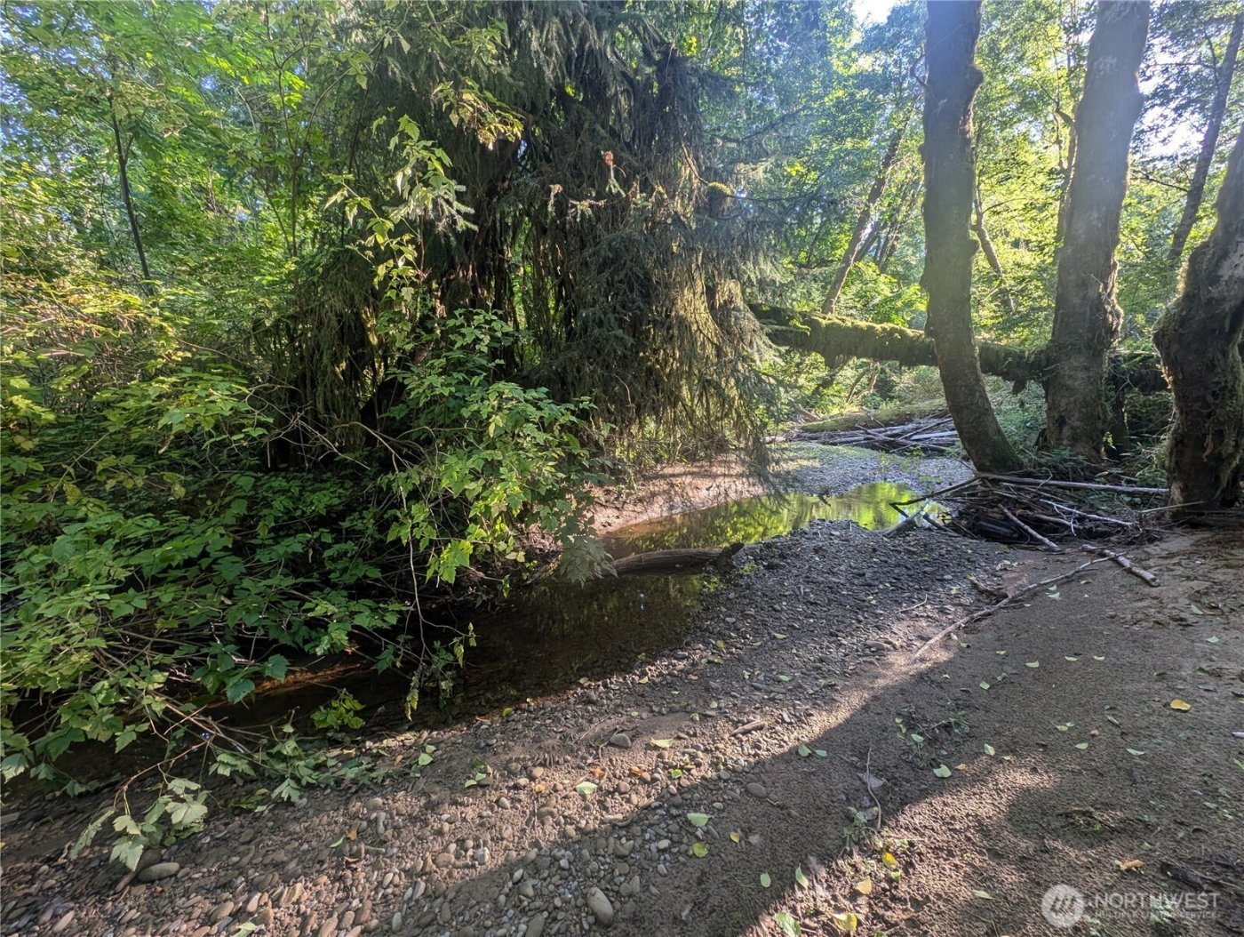 999 Whitcomb-Dimmel Road , Forks, WA 98331