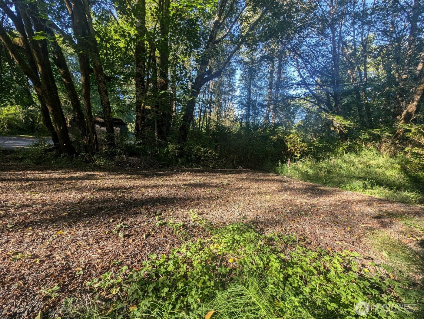 999 Whitcomb-Dimmel Road , Forks, WA 98331