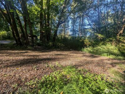 999 Whitcomb-Dimmel Road , Forks, WA 98331 - Photo 22