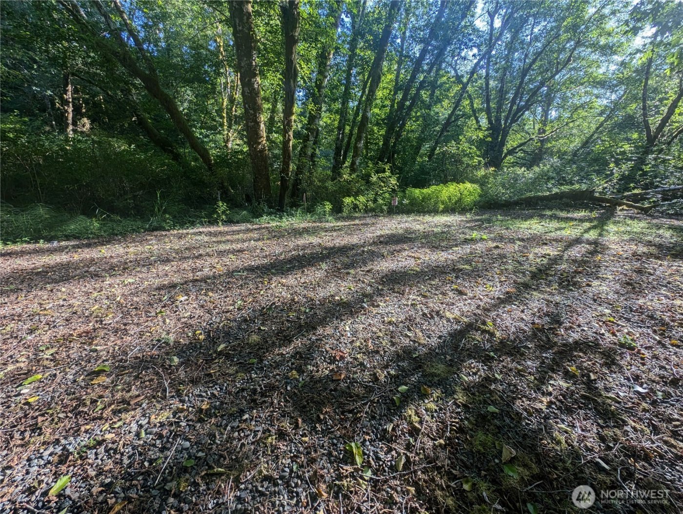 999 Whitcomb-Dimmel Road , Forks, WA 98331