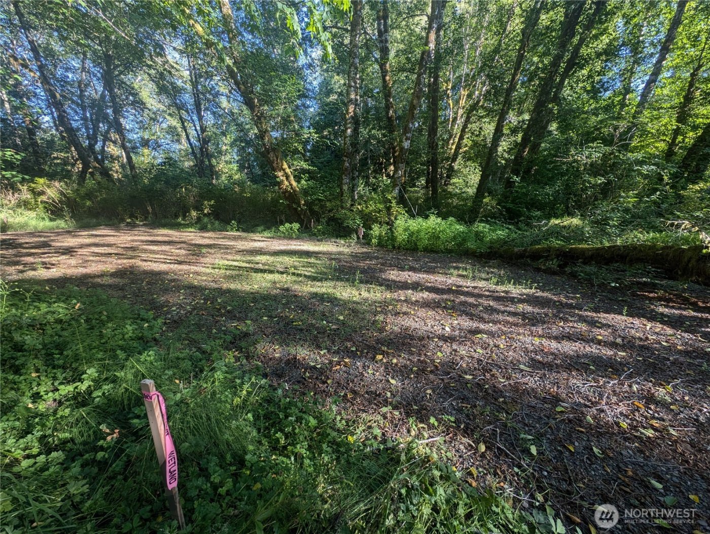 999 Whitcomb-Dimmel Road , Forks, WA 98331