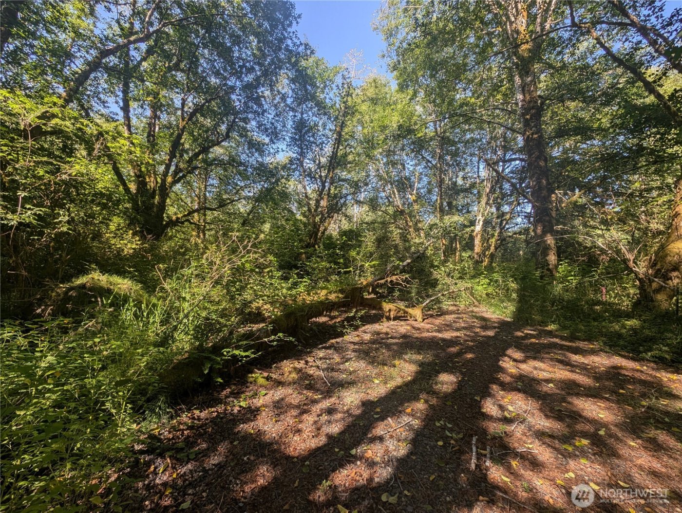 999 Whitcomb-Dimmel Road , Forks, WA 98331