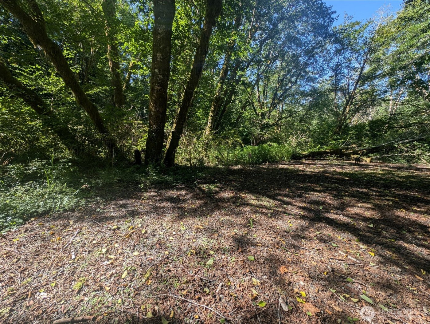 999 Whitcomb-Dimmel Road , Forks, WA 98331