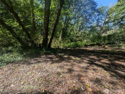 999 Whitcomb-Dimmel Road , Forks, WA 98331 - Photo 11