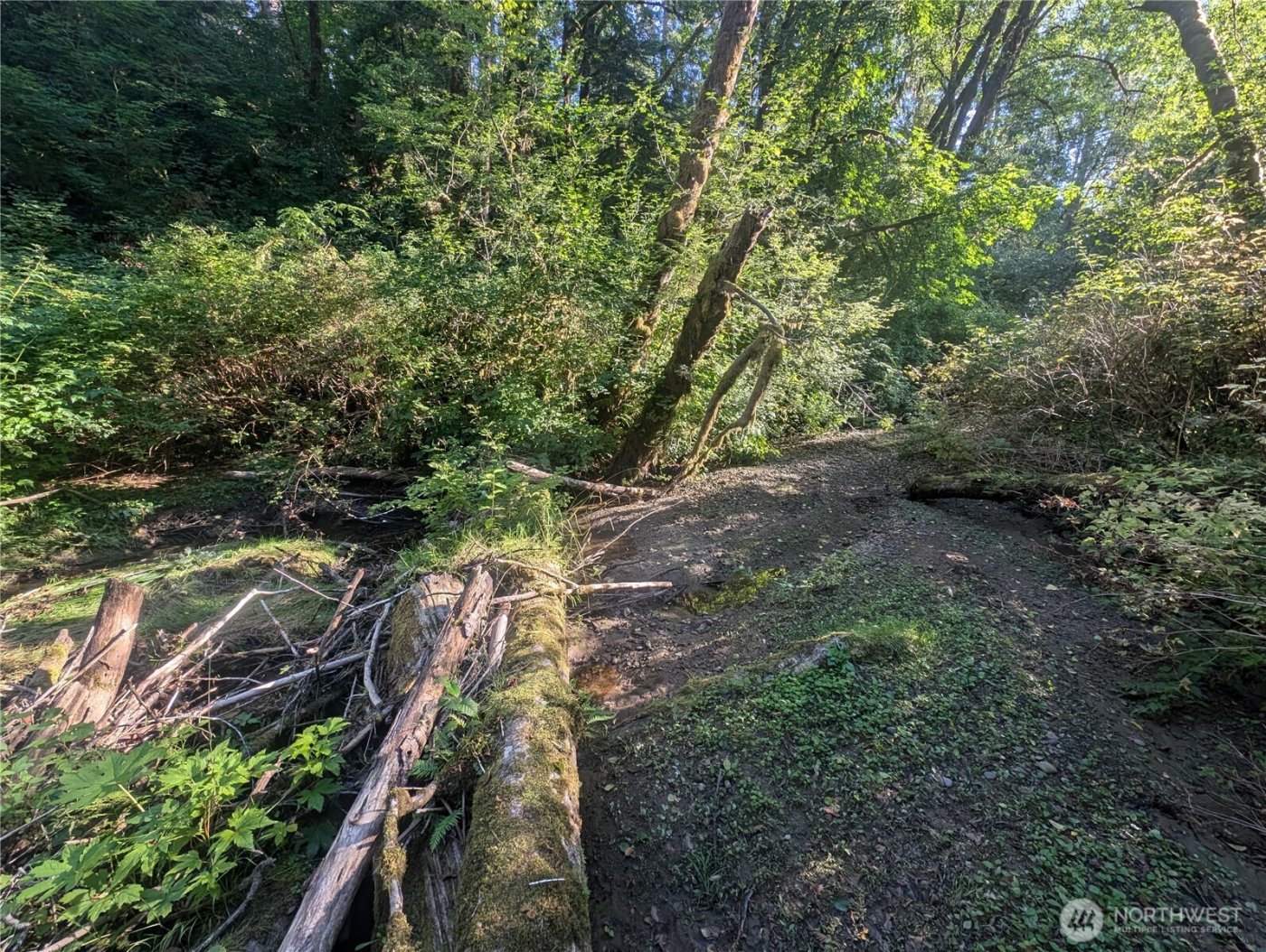 999 Whitcomb-Dimmel Road , Forks, WA 98331