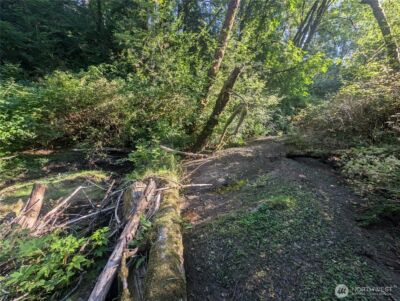 999 Whitcomb-Dimmel Road , Forks, WA 98331 - Photo 12