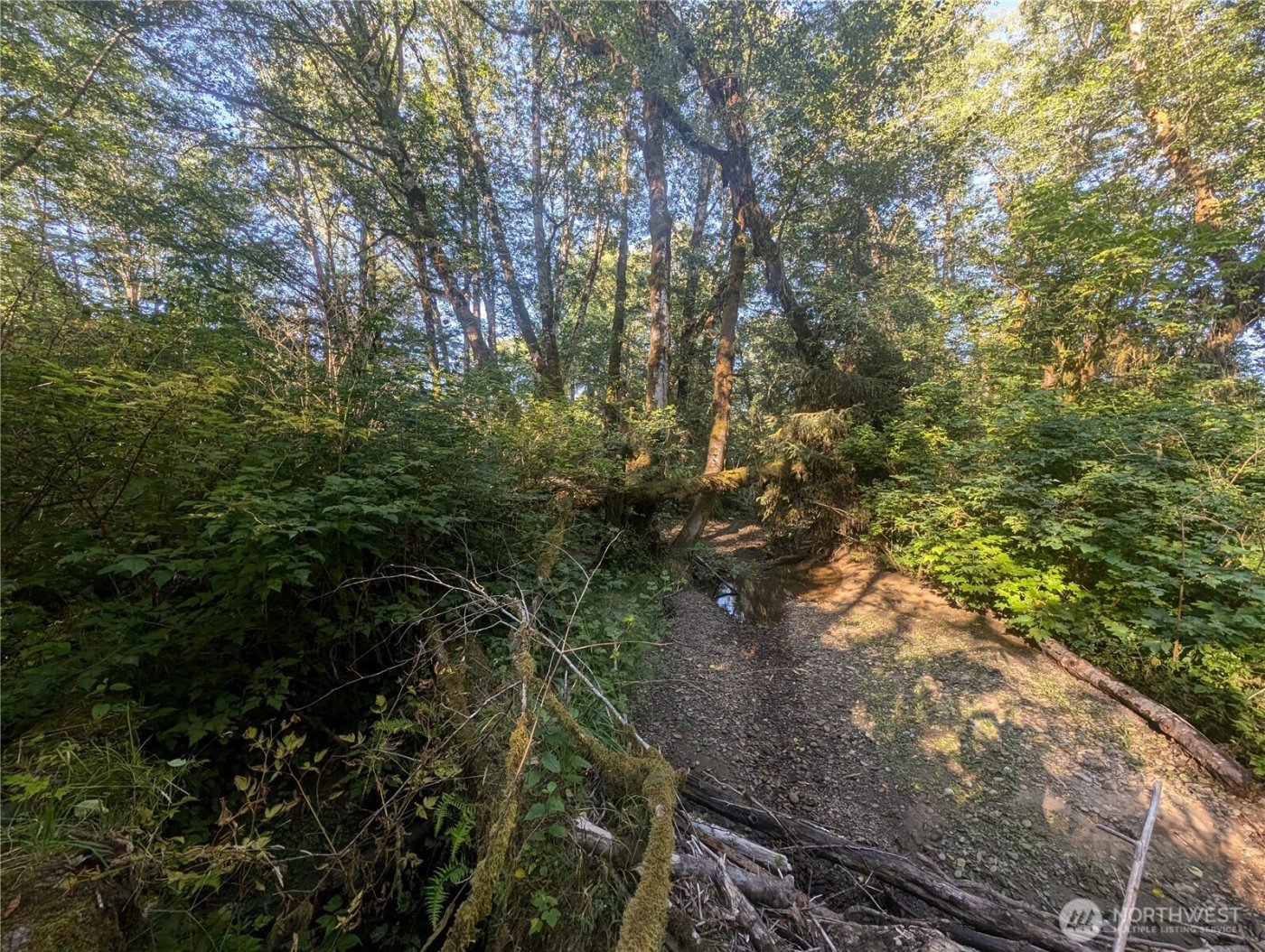 999 Whitcomb-Dimmel Road , Forks, WA 98331