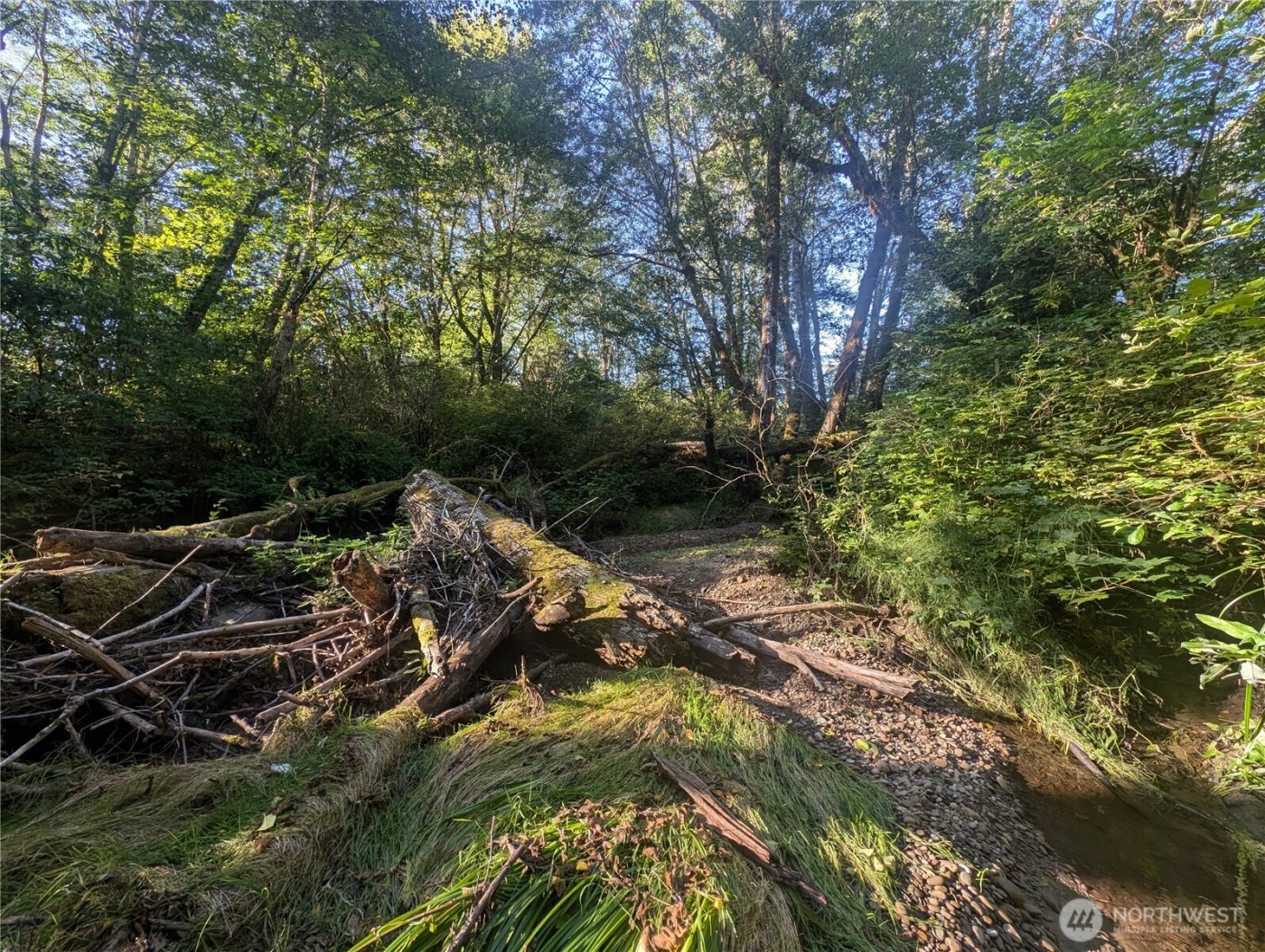 999 Whitcomb-Dimmel Road , Forks, WA 98331