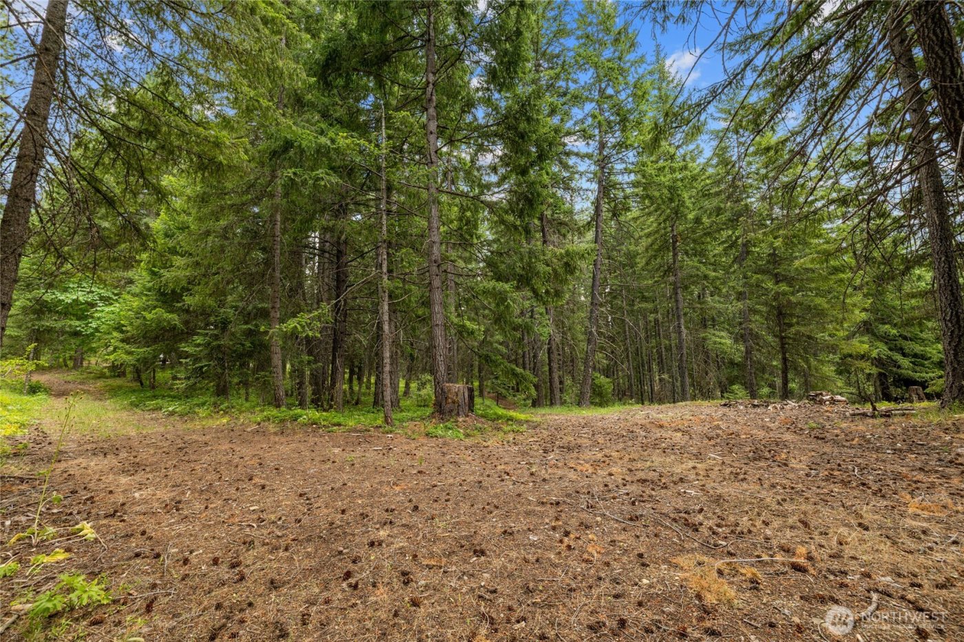 16341 Salmon La Sac Road , Ronald, WA 98940