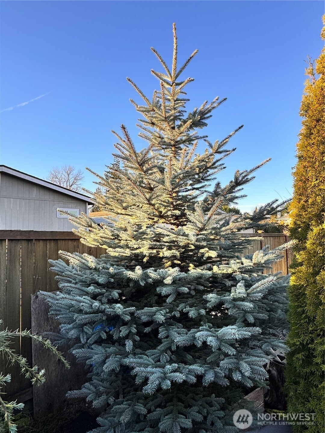 11436 SE 208th Street #112, Kent, WA 98031