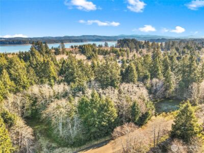 0 Lot 20 Ranta Road , South Bend, WA 98586 - Photo 12