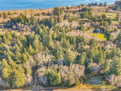 0 Lot 20 Ranta Road , South Bend, WA 98586 - Photo 14