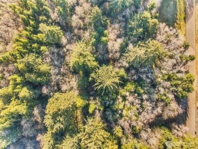 0 Lot 20 Ranta Road , South Bend, WA 98586 - Photo 17